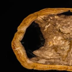 Eichholtz Villièrs Side Table -Tables Sales 110611 6