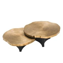 Eichholtz Thousand Oaks Coffee Table - Set Of 2 -Tables Sales 113295 2